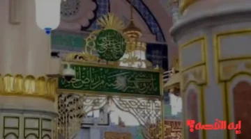 تفاصيل مهمة.. شؤون الحرمين تحدد مواعيد زيارة الروضة الشريفة 1447 للرجال والنساء